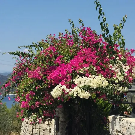 Frühstückspension Harmanyeri Tatilevi *