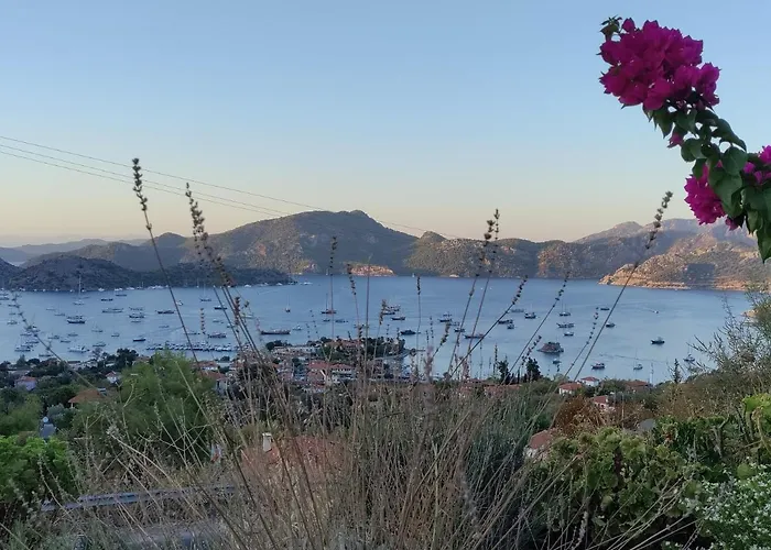 Harmanyeri Tatilevi Frühstückspension *