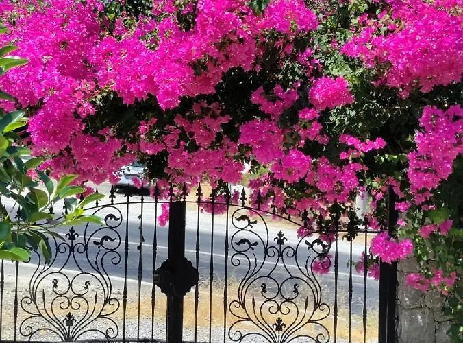 Harmanyeri Tatilevi * Selimiye