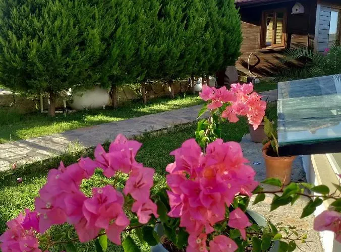 Harmanyeri Tatilevi Bed & Breakfast *