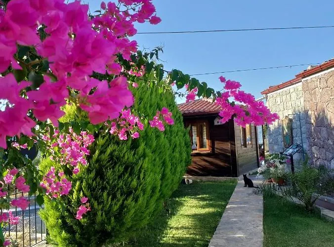 Harmanyeri Tatilevi Bed & Breakfast Selimiye (Aegean)