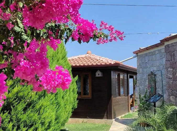 Harmanyeri Tatilevi * Selimiye