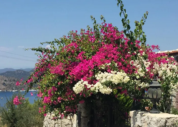 Bed & Breakfast Harmanyeri Tatilevi *